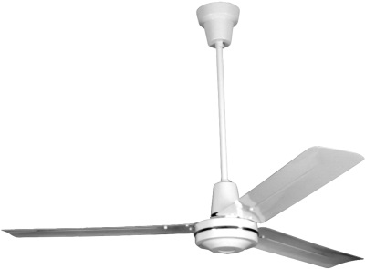 Ceiling Fans