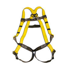 Harness